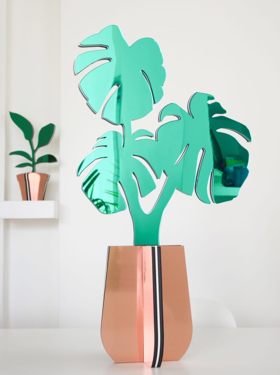 monstera-