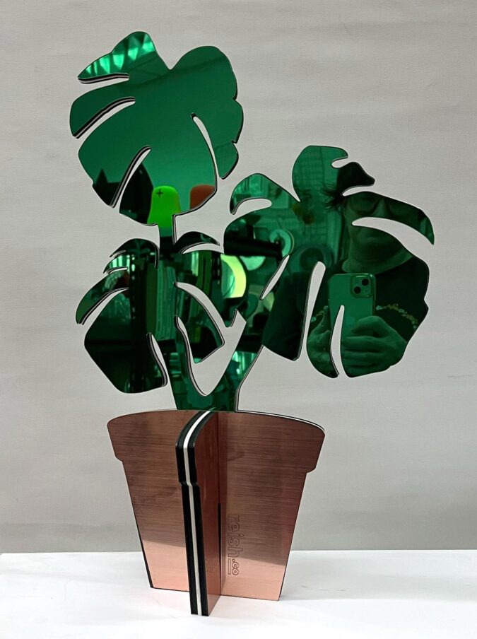 מראת עציץ MONSTERA