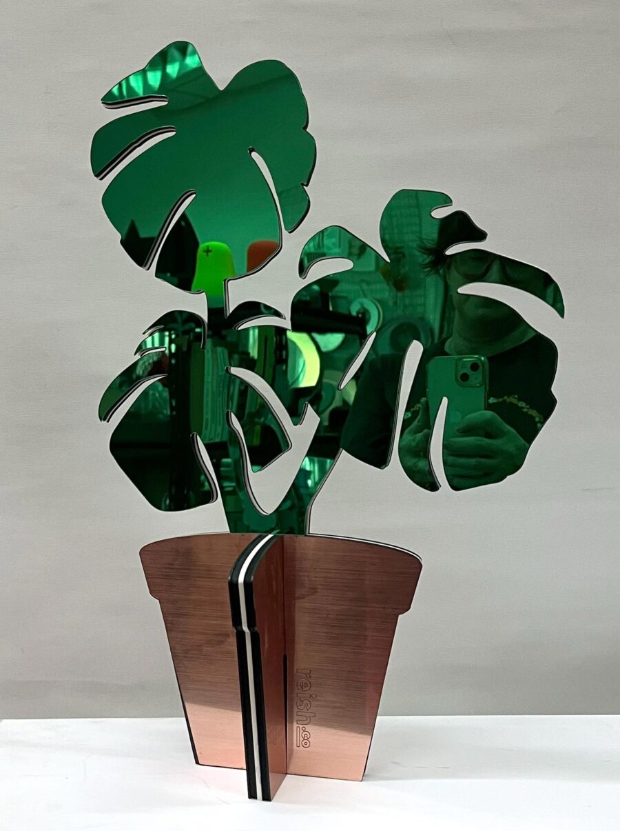 monstera