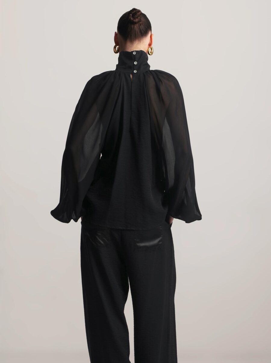 swan-black-2