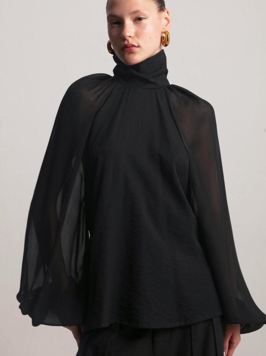 swan-black-3
