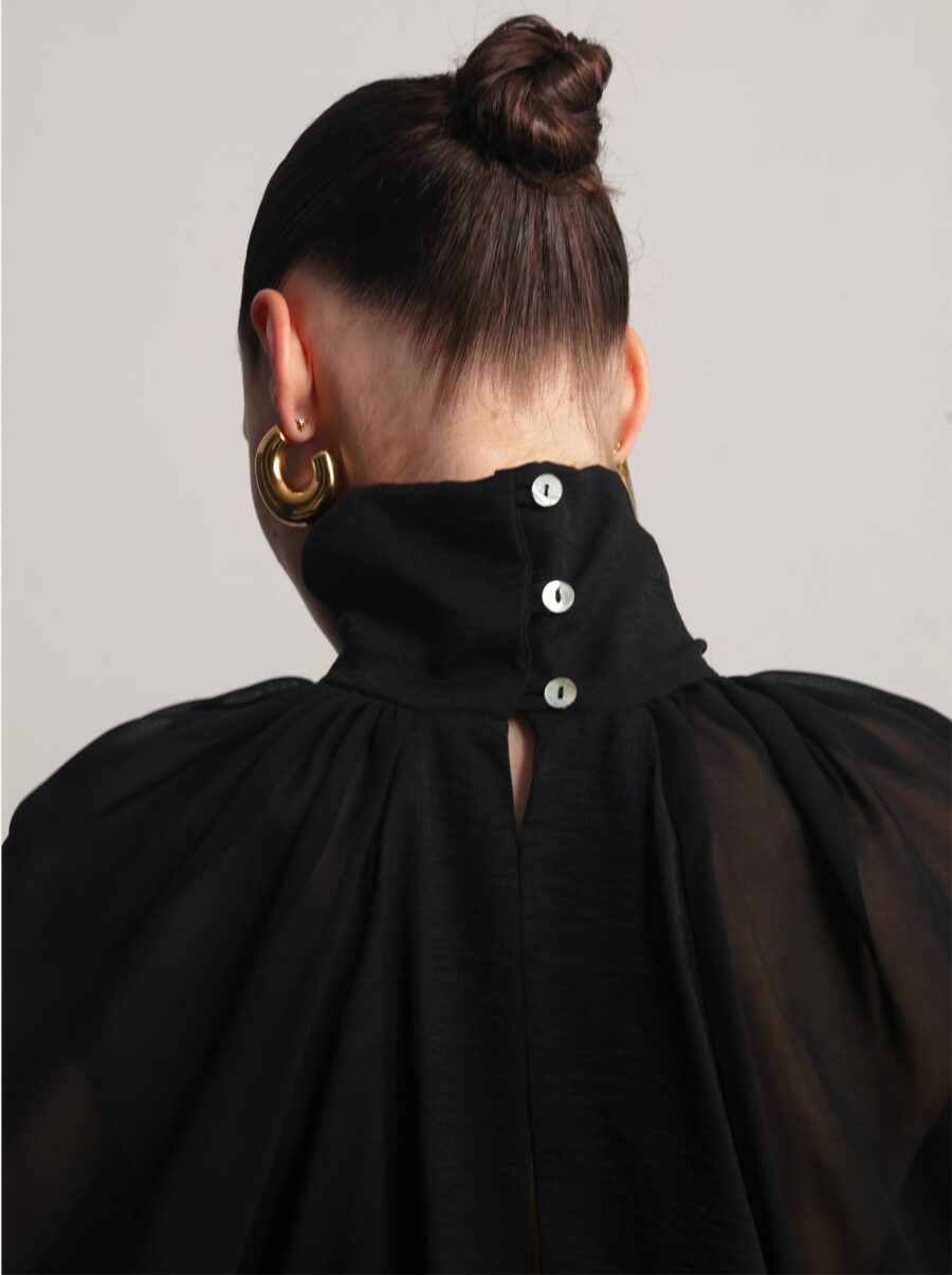 swan-black-4