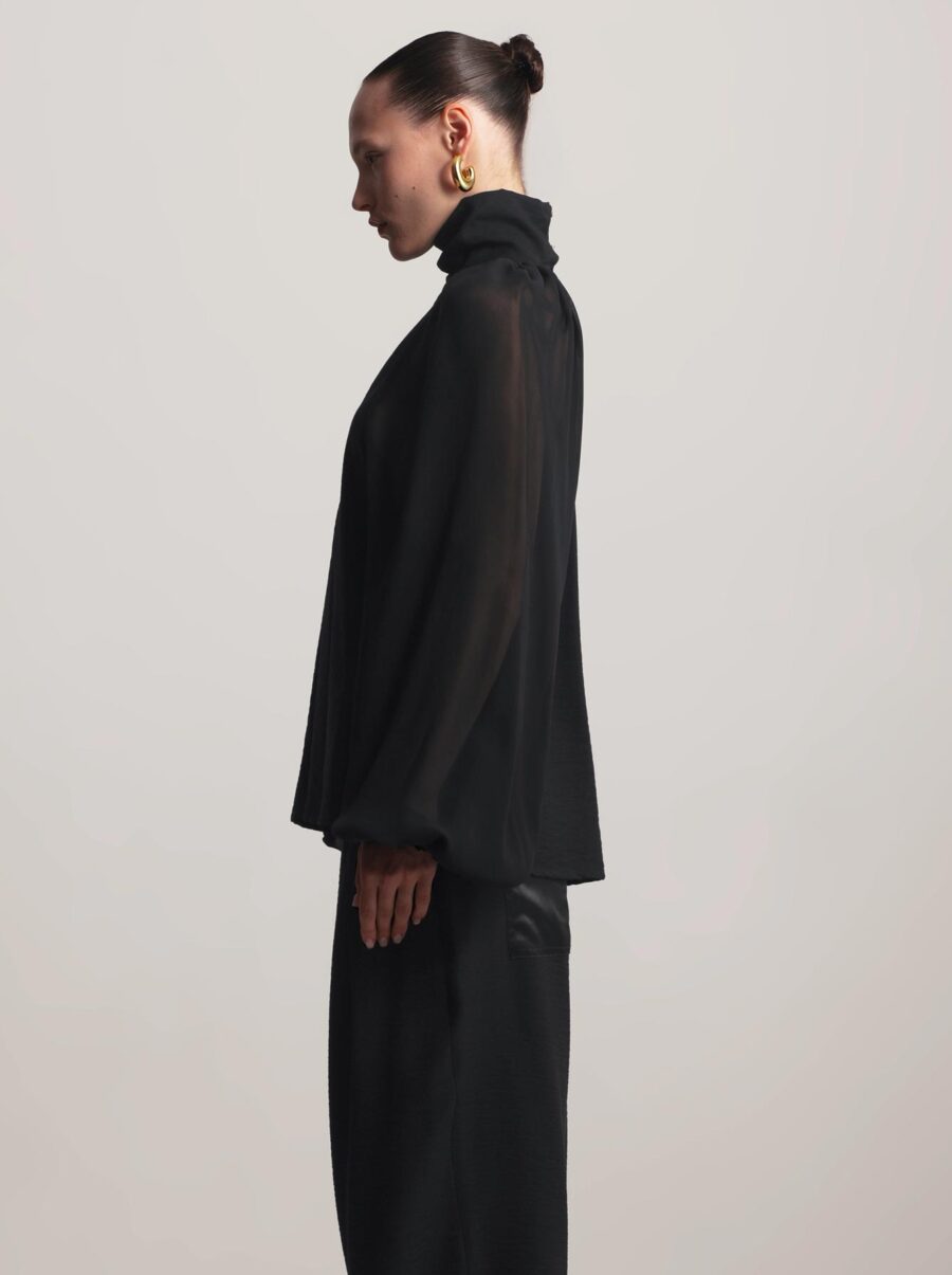swan-black